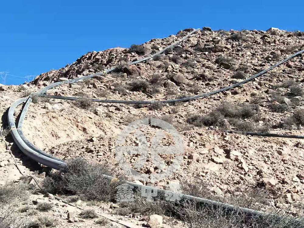 西藏水泥厂项目(图2)